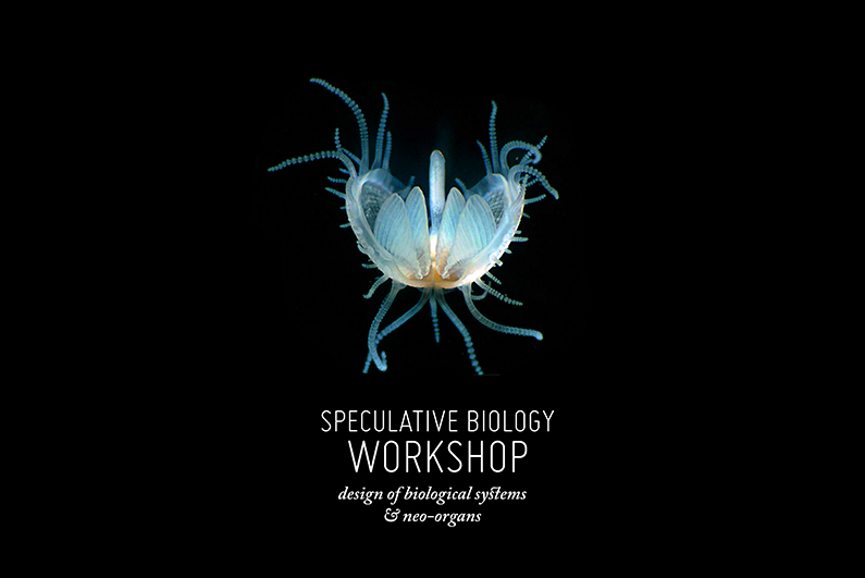 speculative biology workshop, design of biological systems and neo-organs