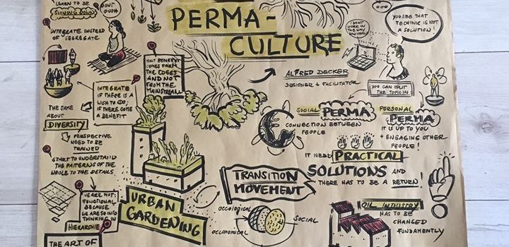 Learnings from Social Permaculture